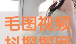 毛视频,揭秘网络红人的崛起之路