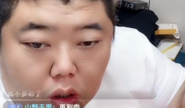 陈泽91直播蛋仔,揭秘蛋仔游戏背后的精彩故事