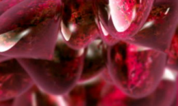 水滴视频,记录生活点滴，见证时代变迁